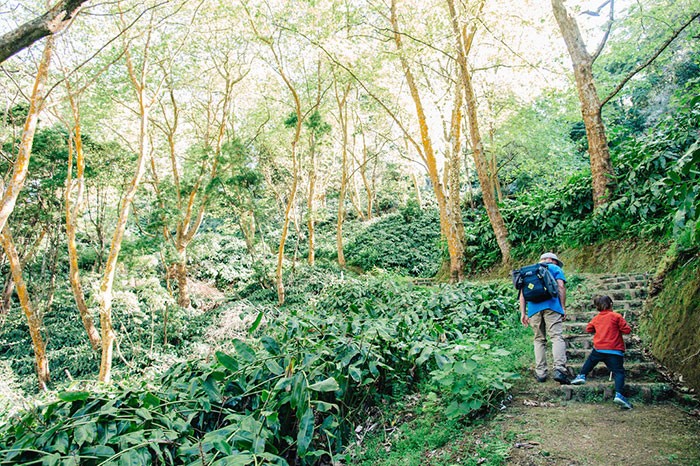 papa et son enfant sur un sentier de randonnée dans l'île de Sao Miguel aux Açores