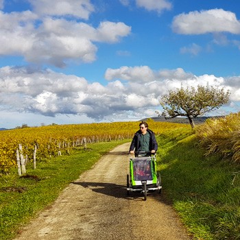 balade coteaux d'Arbois