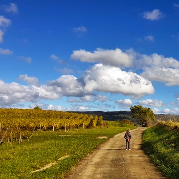 Rando famille coteaux d'Arbois