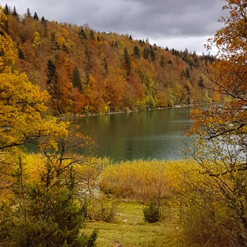 Randonnée lac de Narlay