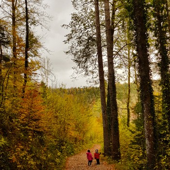 Chemin cascade Hérisson