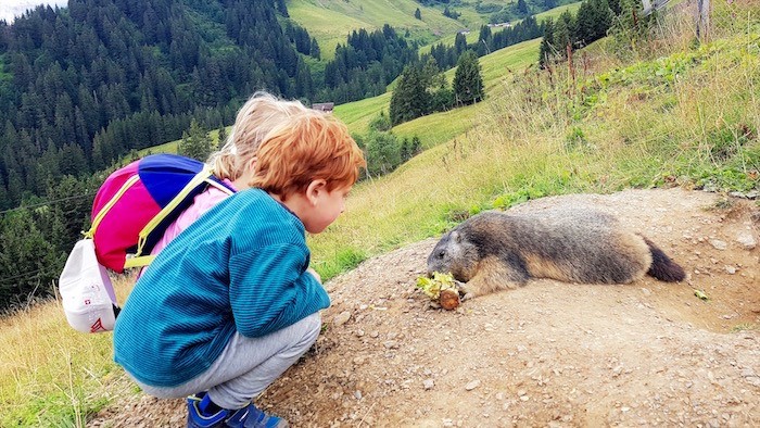 Photo enfant et marmotte dents du midi suisse