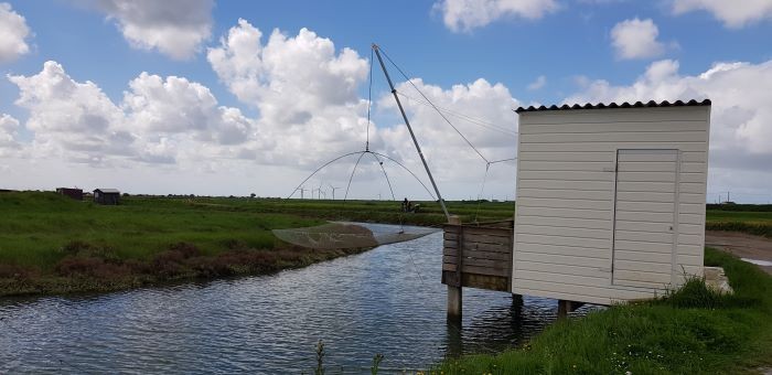 Traversée des marais en vendée à vélo