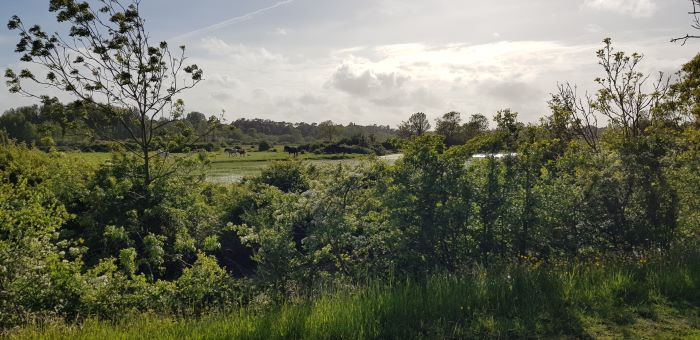 Marais en vendée