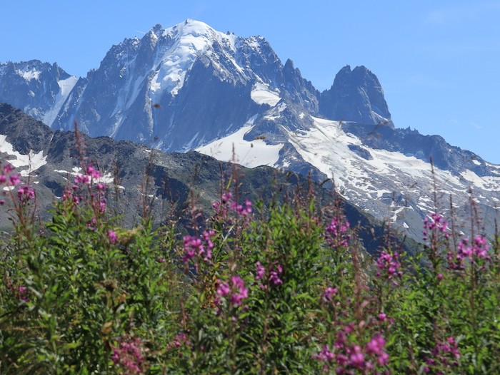 Randonnée en famille paysage Mont Blanc