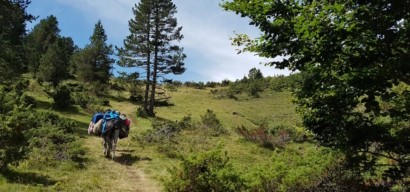 Randonnée avec un âne en famille : 6 jours d'itinérance en Ariège