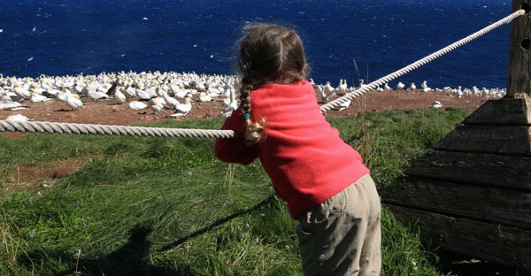 Voyage au Québec en famille : 10 activités à faire absolument avec les enfants