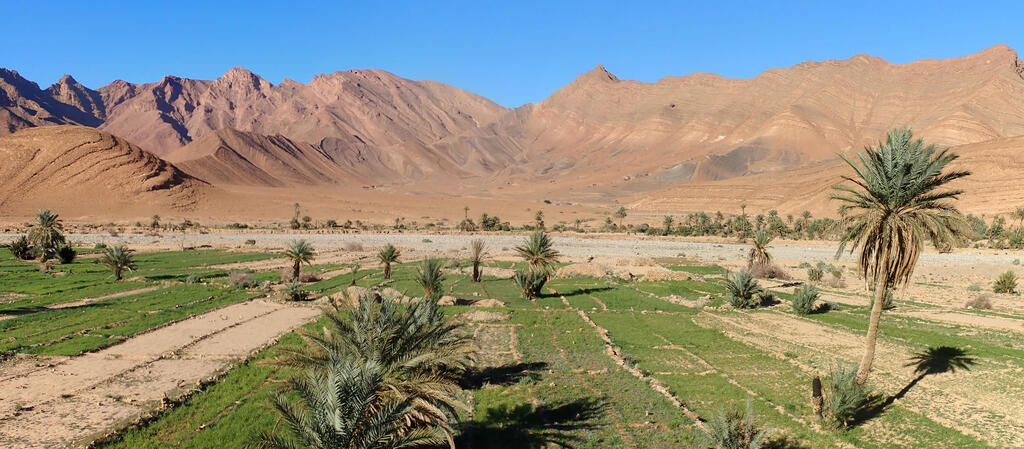 Vallée des Cèdres, Maroc en famille