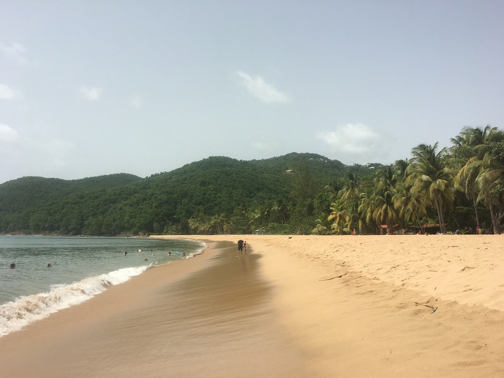 La plage de Deshaies