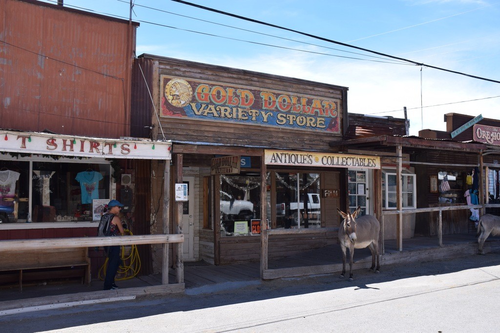 Oatman, États-Unis