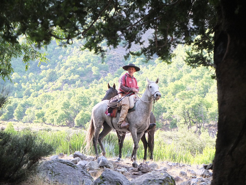 trek à cheval au chili en famille