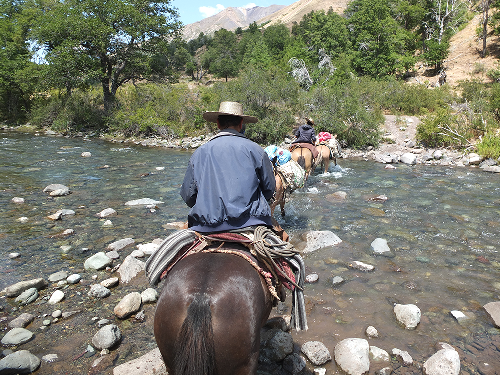 Trek à cheval au Chili en famille