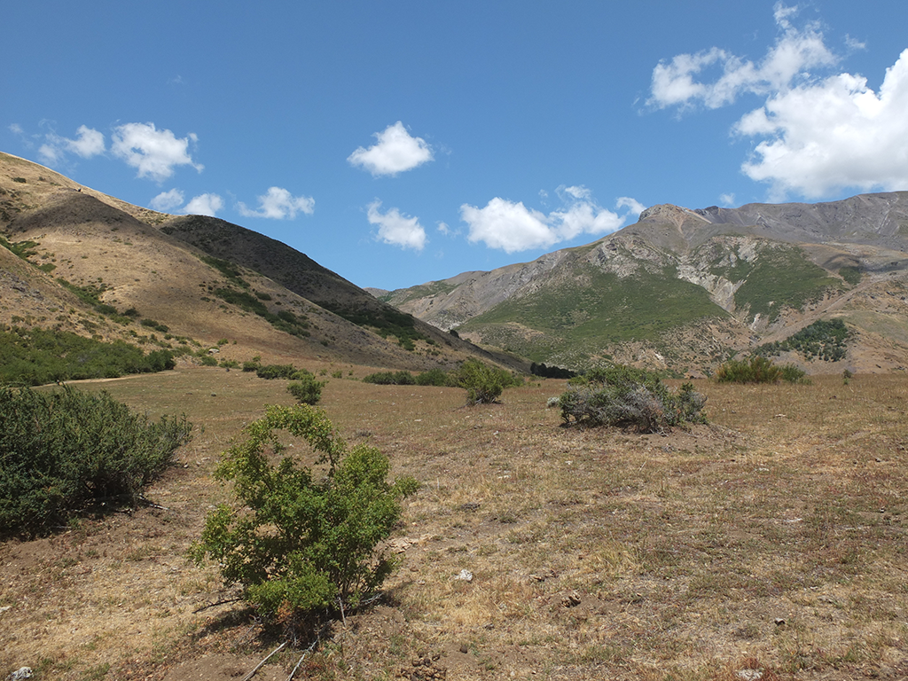 Trek à cheval au Chili en famille