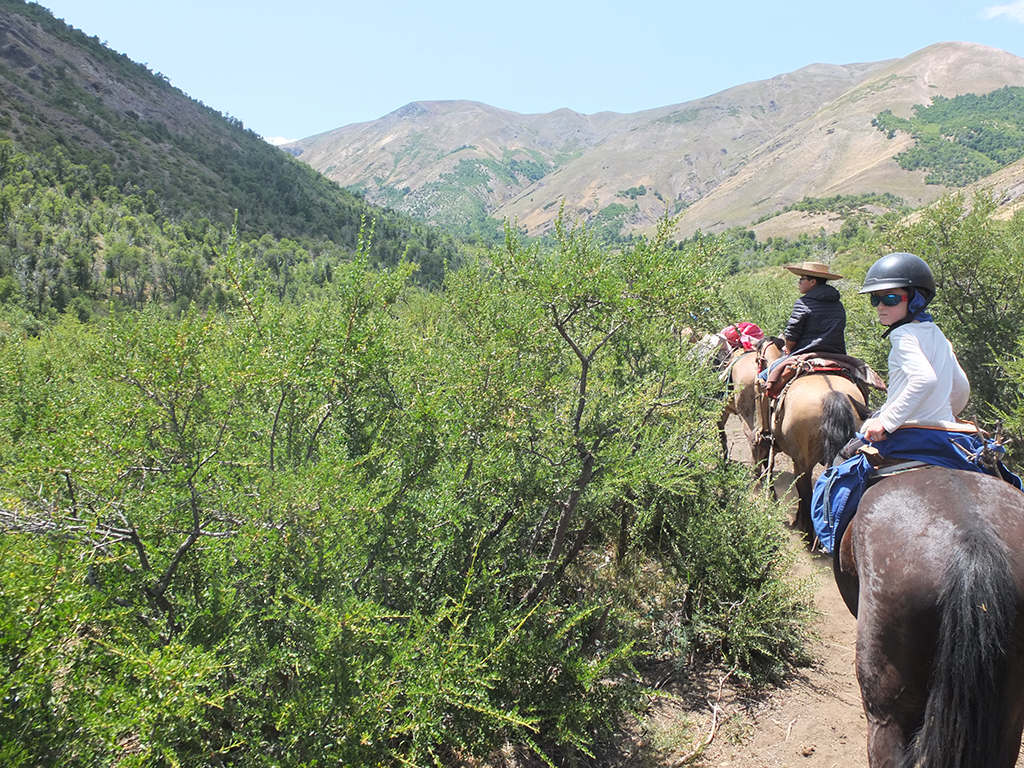 Trek à cheval au Chili en famille