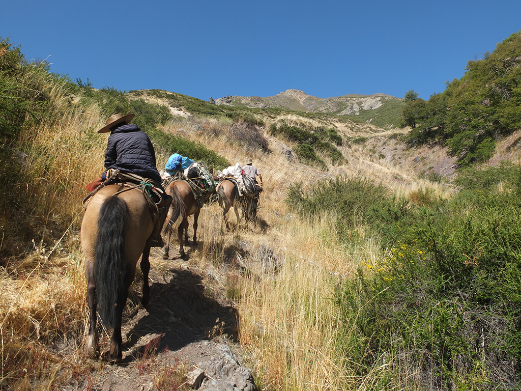 Trek à cheval au Chili en famille