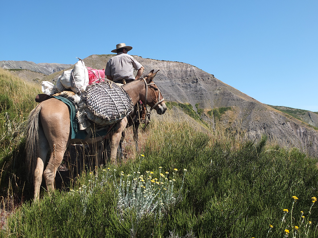 Trek à cheval au Chili en famille