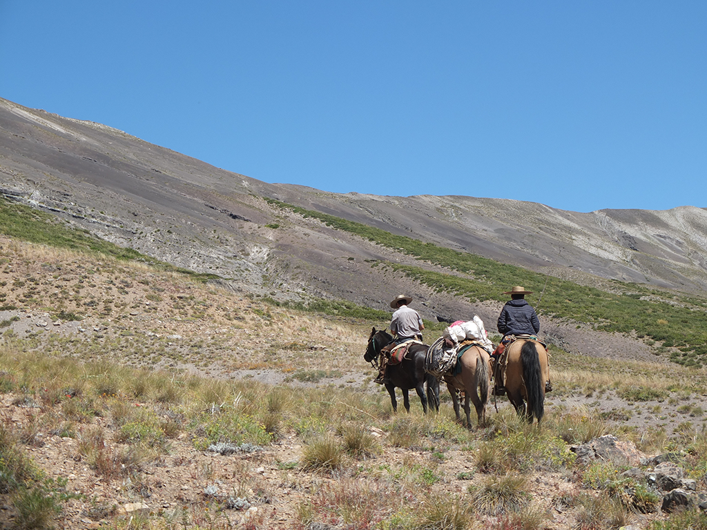 Trek à cheval au Chili en famille