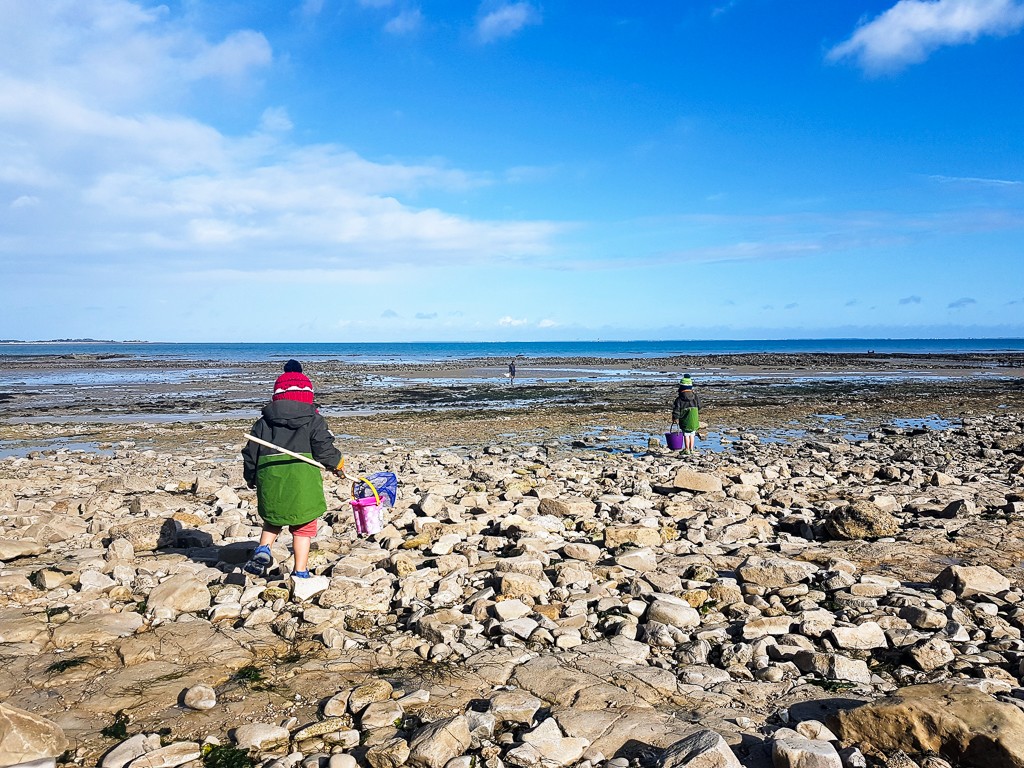 L'île de Ré