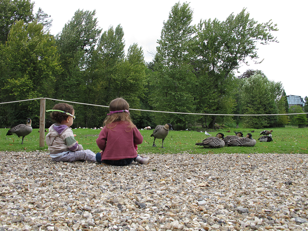 Parc des Clères