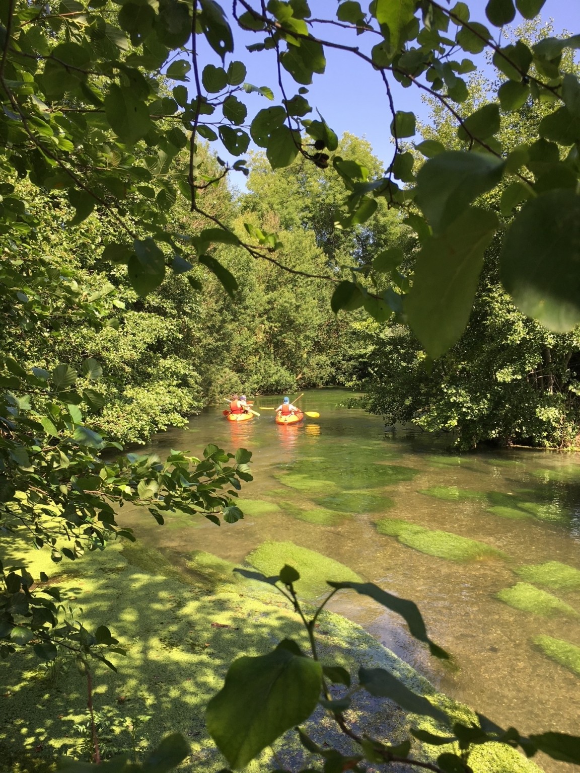 Activités en famille en Normandie, autour de Dieppe