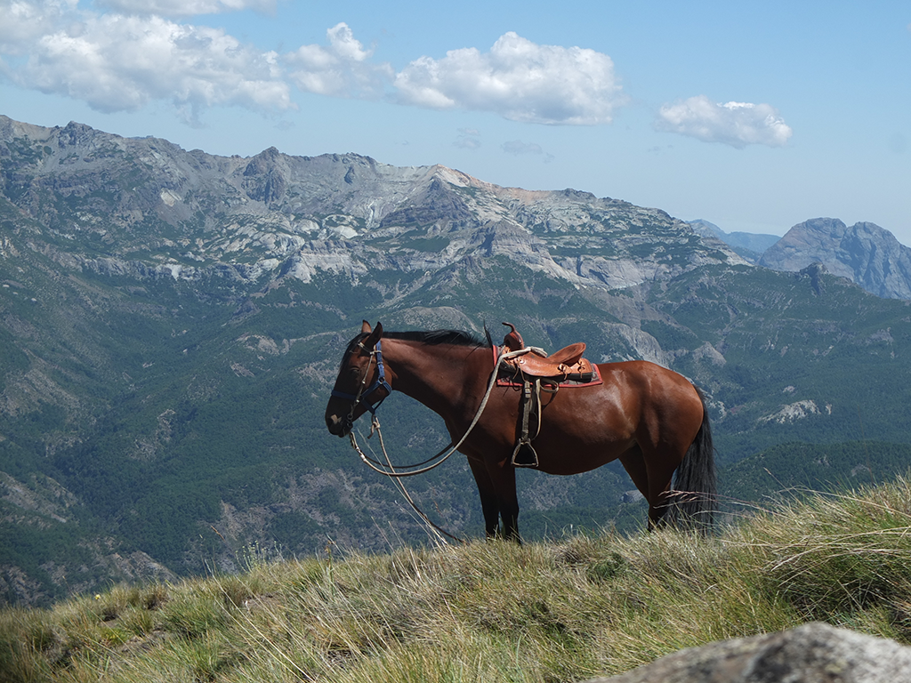 Trek à cheval au Chili en famille