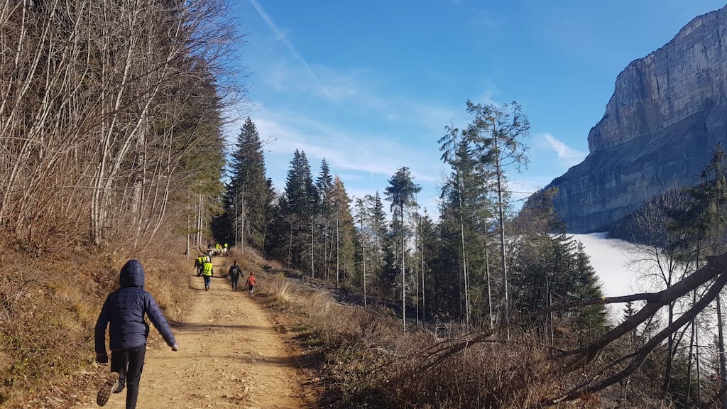 transhumance en Savoie