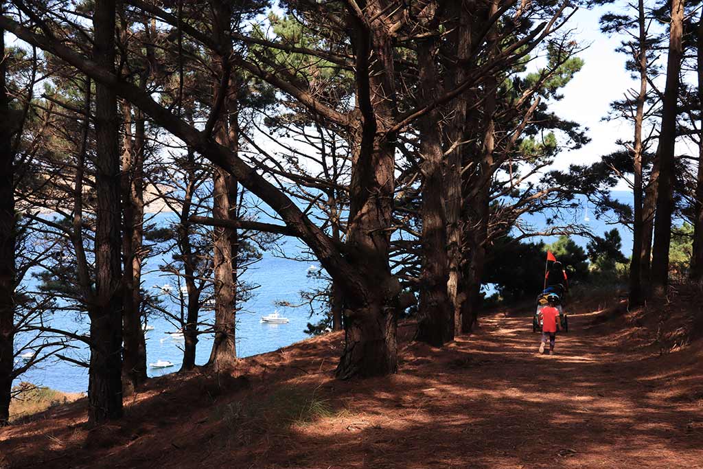 Plage de Port Blanc