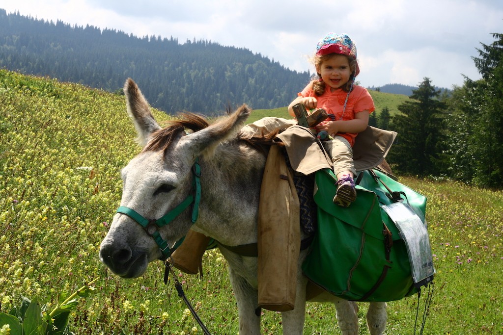 Apprendre à un enfant à se servir d'un couteau de poche - Petit Bivouac