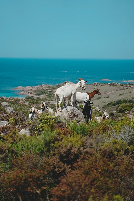 la corse à vélo en famille