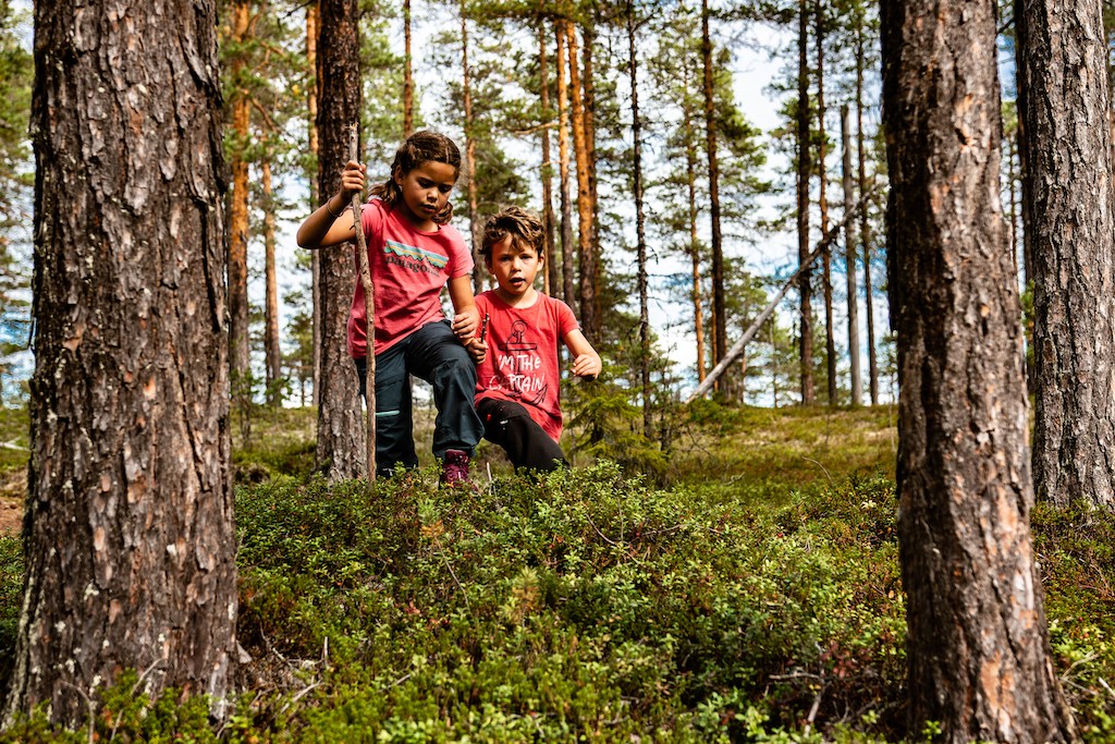 Faire jouer les enfants dehors dans la forêt