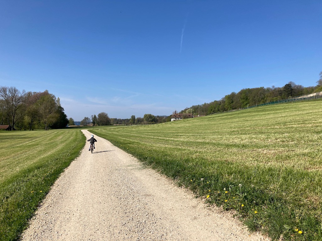 île saint-pierre en suisse