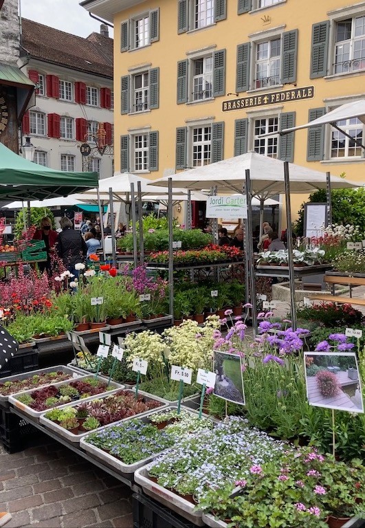 Marché à Soleure