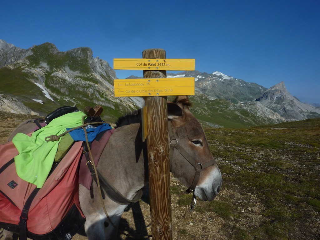 Col du Palet : Parc de la Vanoise avec un âne
