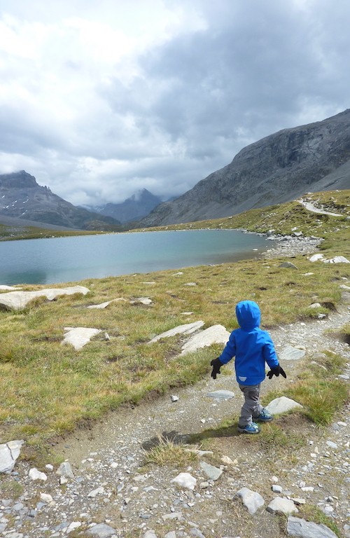 Col de la Vanoise : Parc de la Vanoise avec un âne