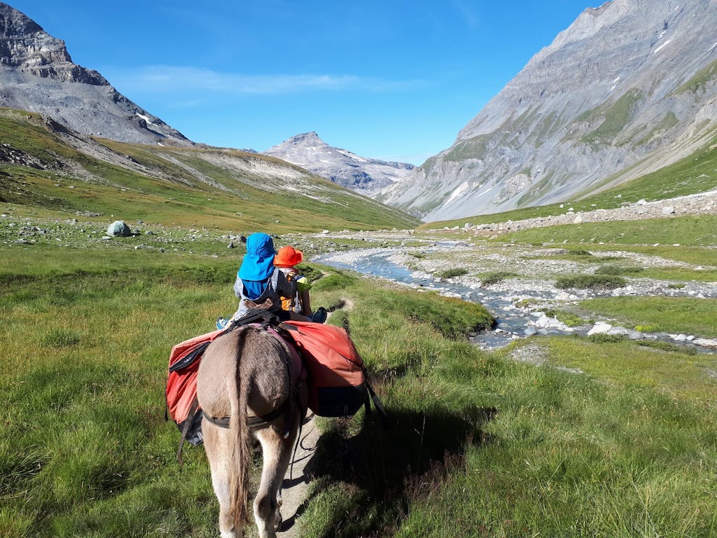 Parc de la Vanoise avec un âne