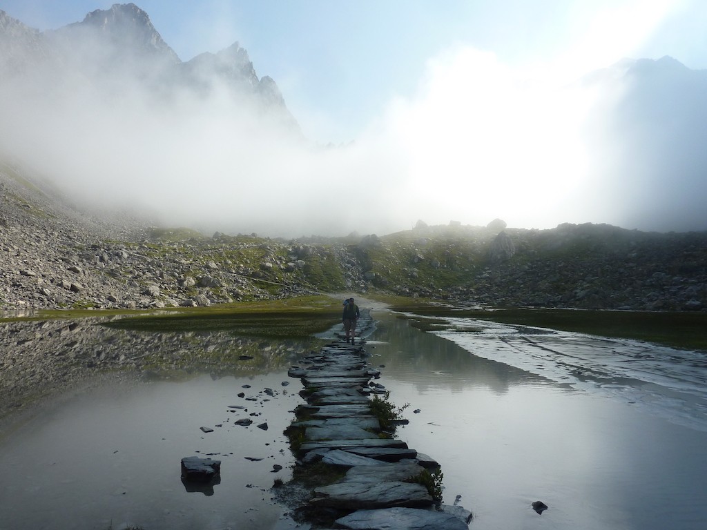 pralognan : Parc de la Vanoise avec un âne