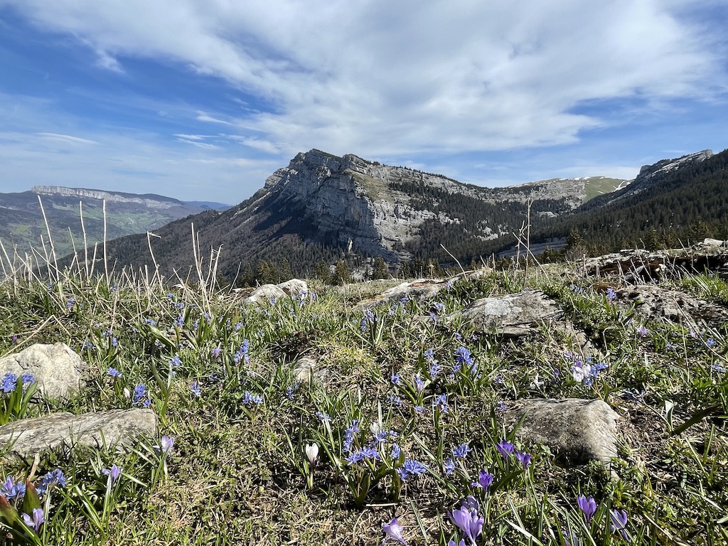 Traversée de la Chartreuse