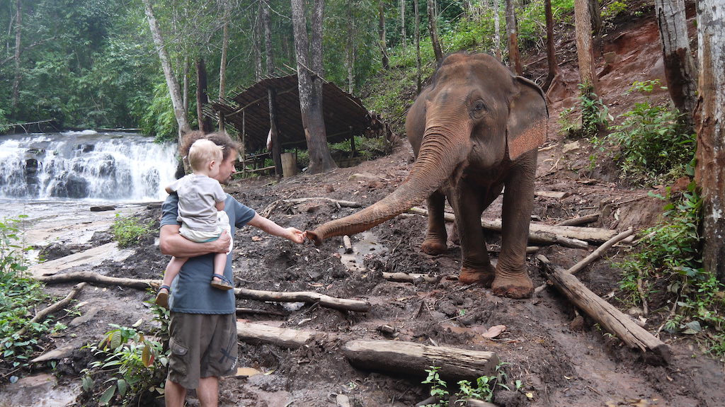 Ferme d'éléphants en Thaïlande
