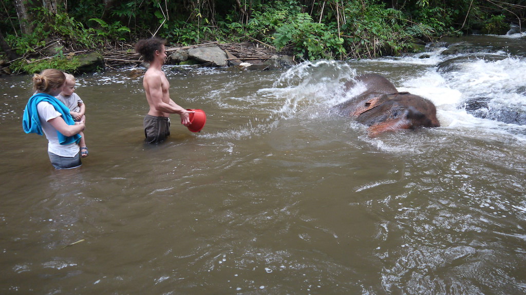 éléphant Thaïlande