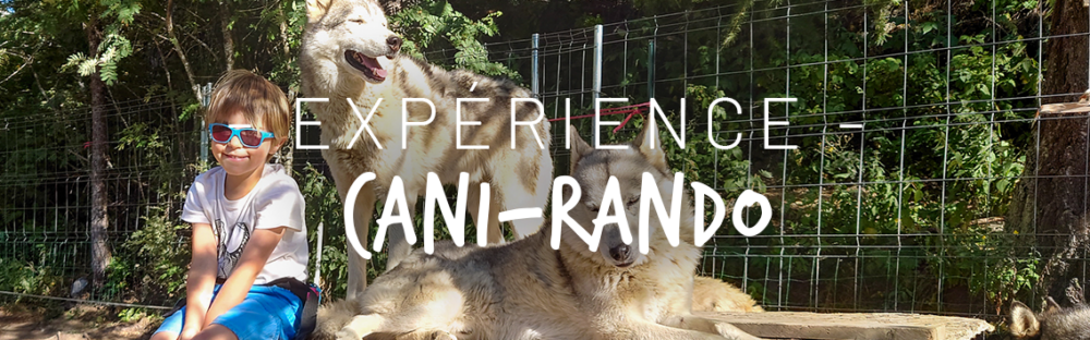 Cani-rando en famille avec Wild Experience