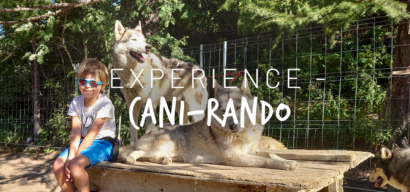 Cani-rando en famille avec Wild Experience
