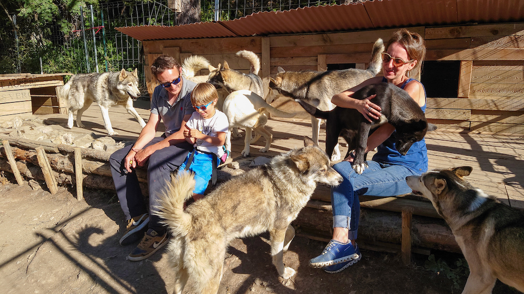 cani-rando en famille : Wild experience