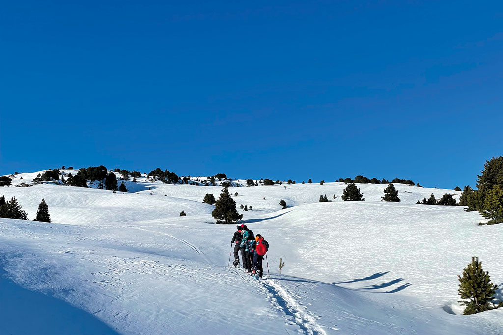 Randonnée à la cabane de Chaumailloux. 