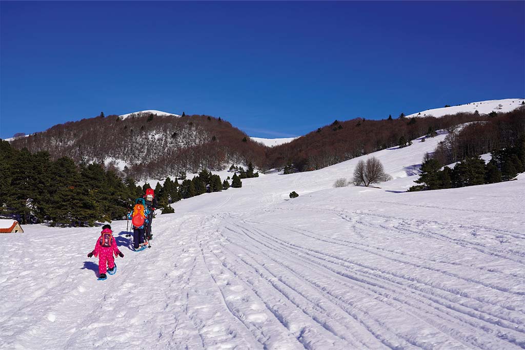 Raquettes dans le Vercors, cabane de Chaumailloux. 