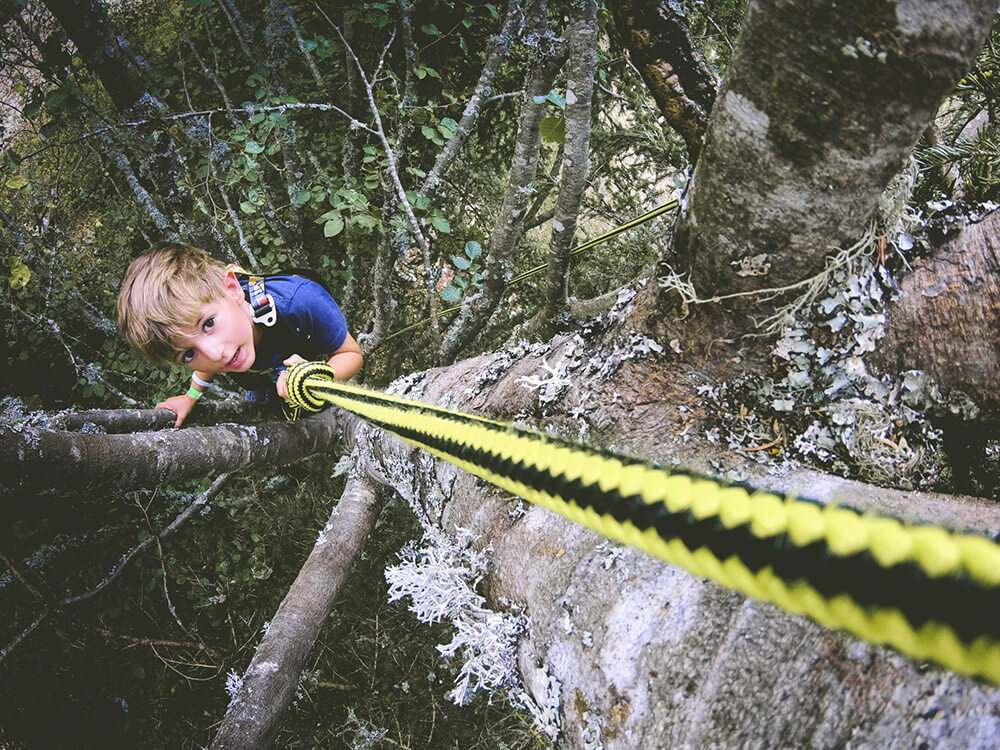 grimpe dans les arbres au festival les petits baroudeurs chambéry montagnes