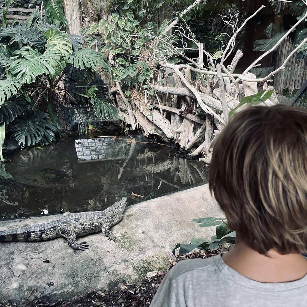 la ferme des crocodiles sur le chemin du vantrip famille dans le Lubéron