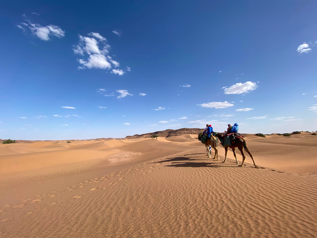 Trek-maroc-famille-dromadaires