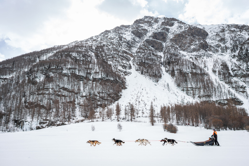 3 activités en famille en montagne l’hiver. balade en chiens de traîneau dans les montagnes en Savoie Mont Blanc.