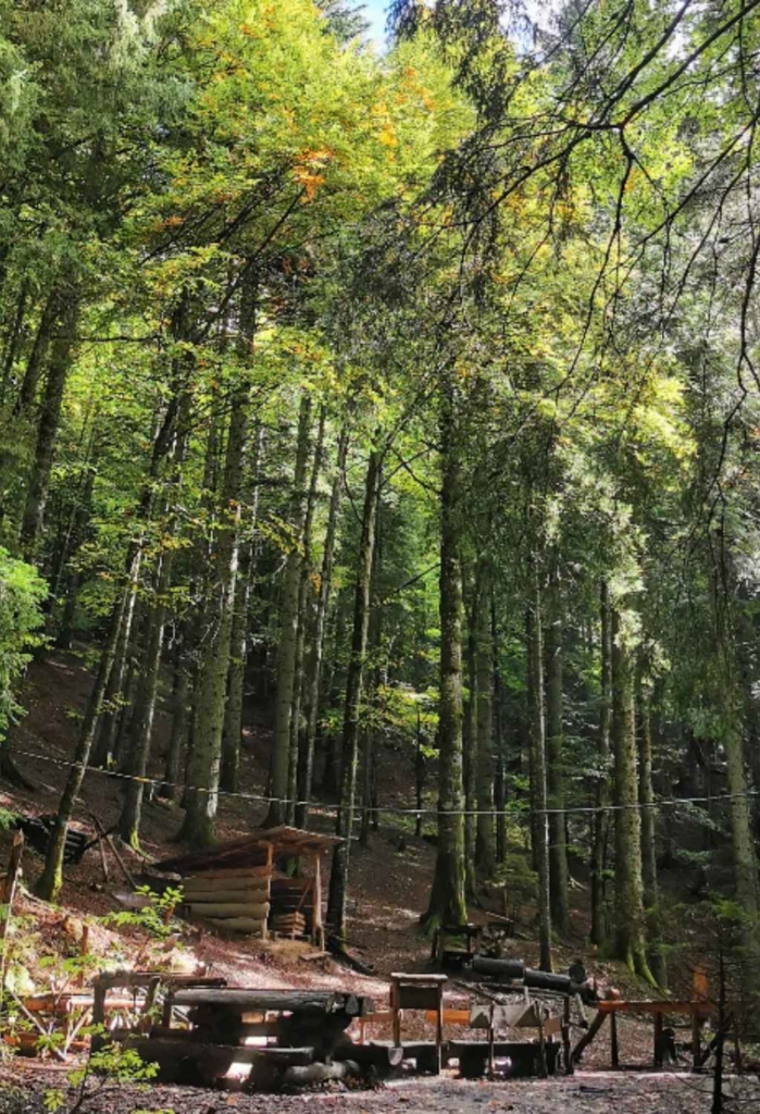 Chantier participatif Vercors Camp trappeur