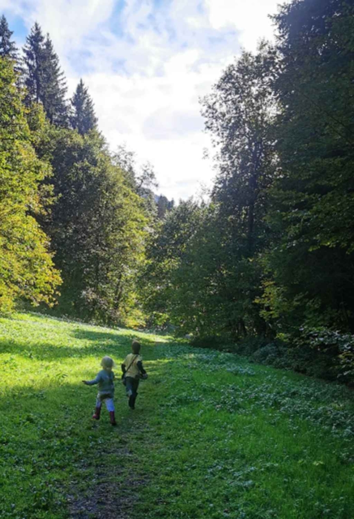 Chantier participatif Vercors Enfants sauvages